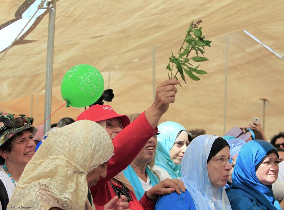 masa arava ohel by arianne littman