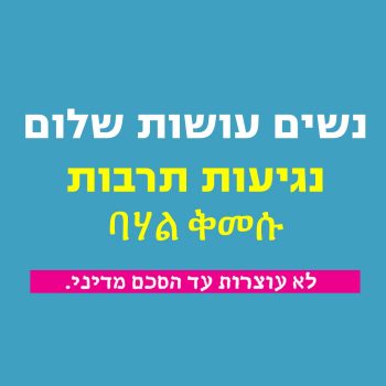 נגיעות תרבות 271117