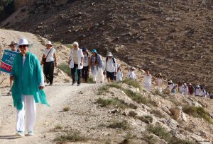 masa arad by arianne littman