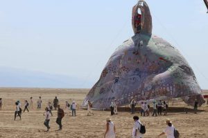 מיצג השמלה בערבה