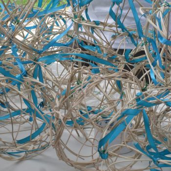 פרוייקט נוגעות בנוף