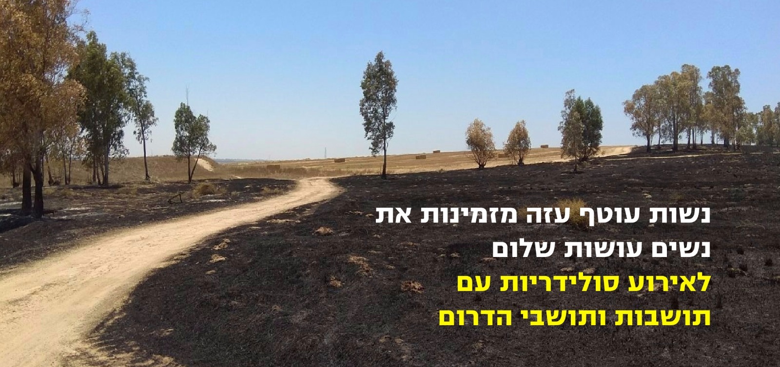 solidarity south 286 banner